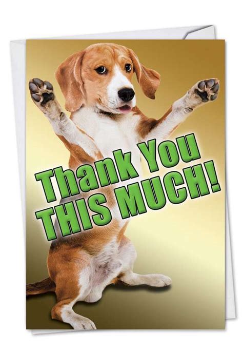This Much Dog Petigreet Thank You Paper Card