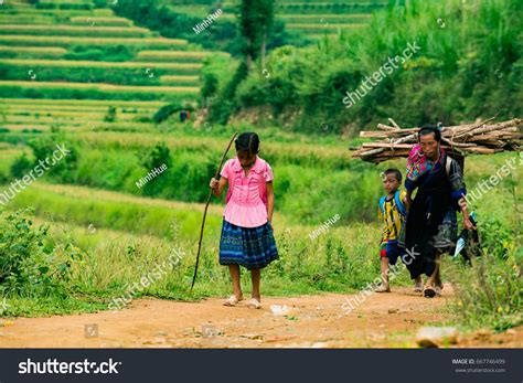 Tu Le Valley Viet Nam September Stock Photo 667746499 - Shutterstock
