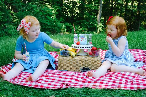 How To Plan A Simple After Babe Picnic The Girl In The Red Shoes