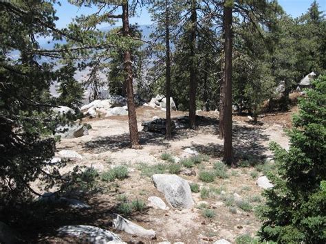 Yellow post 7 yp7 is located on 3n14g at n34' 19.132 w117' 00.363 rv friendly (although not a lot of flat area). San Jacinto Yellow Post sites - MJR