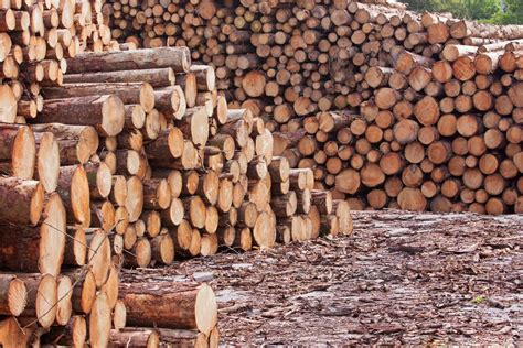 Canadian Softwood Lumber Export Growth To Decrease With Possible Us