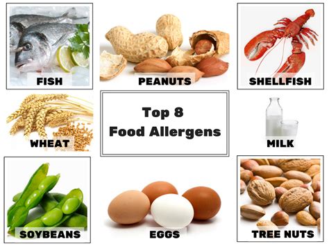 Top 8 Food Allergens
