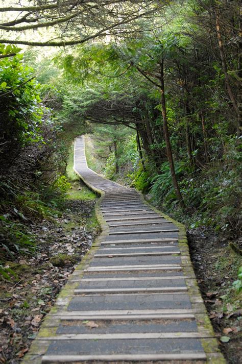 Hiking The Rainforest Trail In Tofino British Columbia C