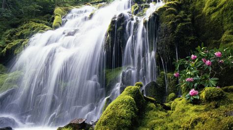 Free Download Microsoft Desktop Backgrounds Waterfalls Best Waterfall