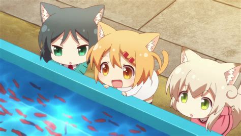 Nyanko Days Roo Maa Y Shii Anime Chibi Anime Manga Anime Art Days