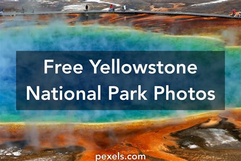 1000 Great Yellowstone National Park Photos · Pexels · Free Stock Photos