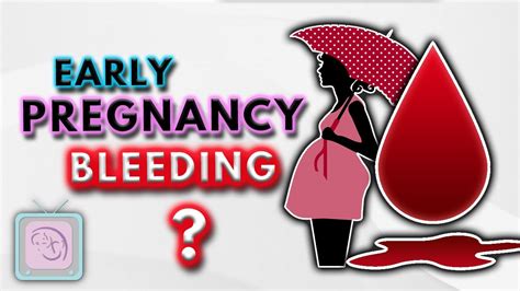 implantation bleeding early pregnancy bleeding and spotting 10 important facts
