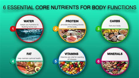 Essential Nutrients Your Body Needs 6 Core Nutrients Classification