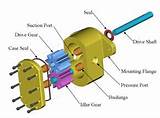 External Gear Pump Animation Pictures