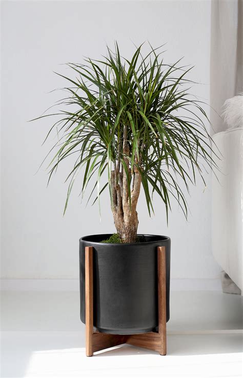 Pin on Decorating ideas
