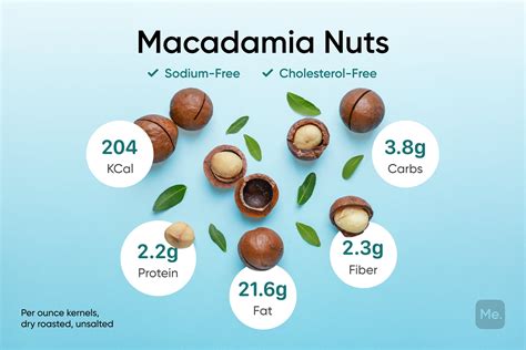 Macadamia Nuts Facts Calories Health Benefits And Side Effects Betterme