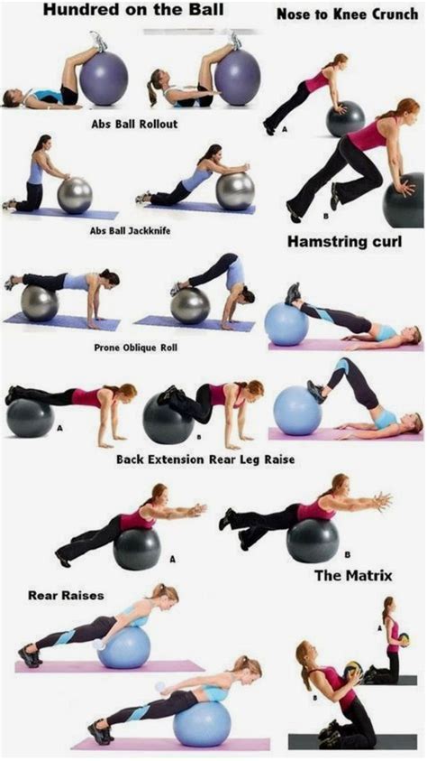 5 Day Exercise Ball Exercises For Beginners For Gym Fitness And
