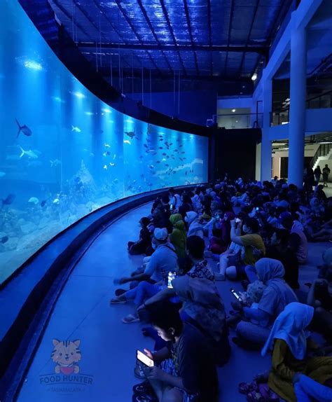 Baru Aquarium Indonesia Pangandaran Harga Tiket Dan Wahana Wahana