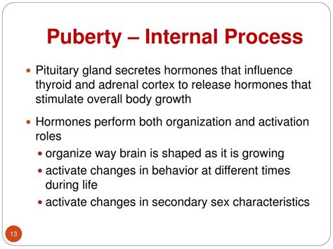 ppt adolescent sexual development the endocrine system puberty my xxx hot girl