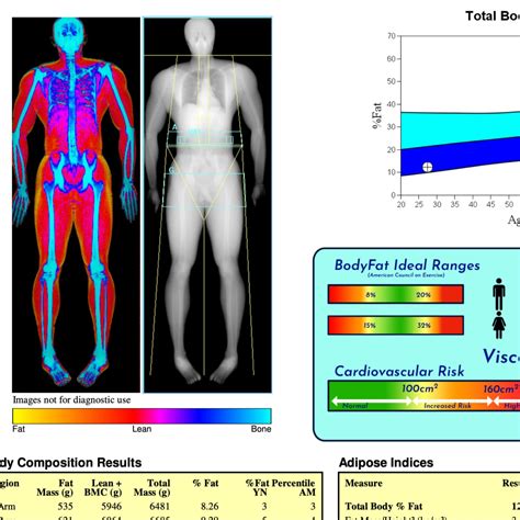 DEXA Scan Results Understanding Your DEXA Scan Report