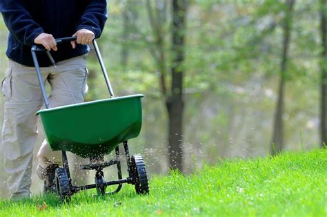 Weed man services lawn care pest control weed man locations weed man cost breakdown. Fall Lawn Maintenance - Bob Vila