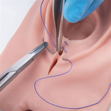 Episiotomy And Suture Trainer B Scientific P Ob Gyn