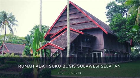 Mengenal Adat Istiadat Suku Bugis Di Indonesia Dituli Vrogue Co