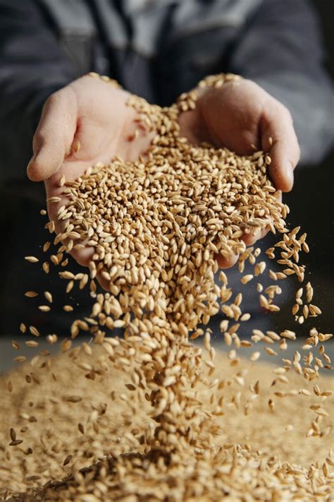 Selling Us Wheat During Global Unrest Mid West Farm Report