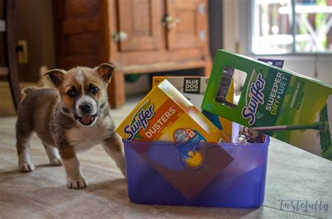 Sending a new baby gift basket is the perfect way to send your thoughts to celebrate the new family member. New Puppy Gift Basket - Tastefully Frugal