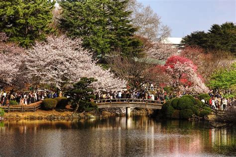 Shinjuku Gyoen National Garden Is A Large Park With An Eminent Garden