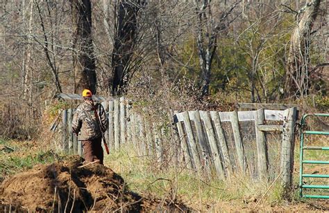 4 Tips For Hunting Whitetails On Small Tracts Of Land Field And Stream