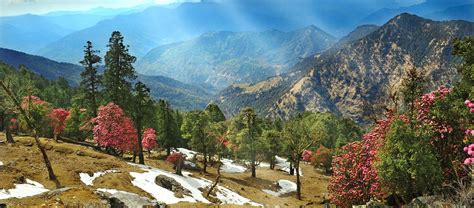 travel uttarakhand is an online platform to guide people about the nature and beautiful places