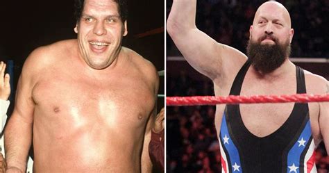 Andre The Giant Wwewwf Wrestling Icon The Truth Behin