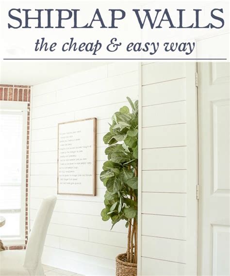 Everything You Need To Know About Shiplap Musely