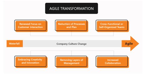 Agile Transformation And Digital Transformation Weekly Sharing Zentao
