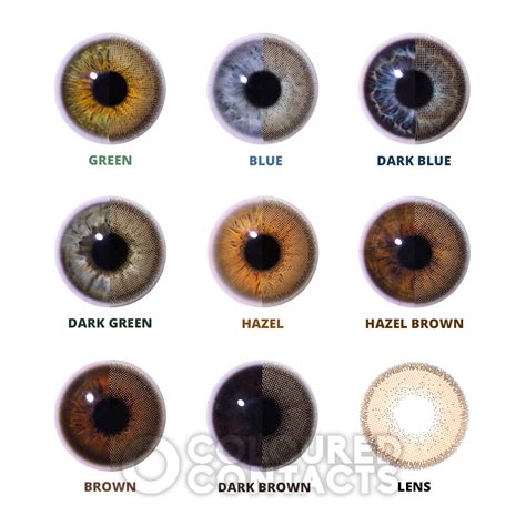 Honey Glaze Light Brown Colored Contact Lenses Monthly Natural