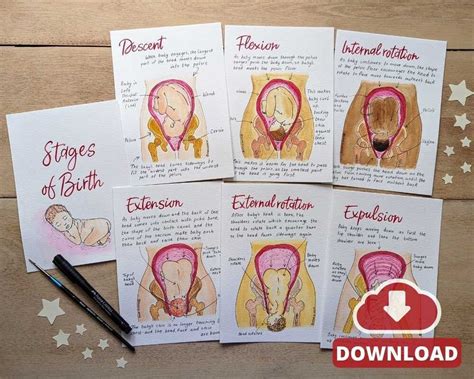 Cardinal Movements Of Birth Handmade Diagrams Download