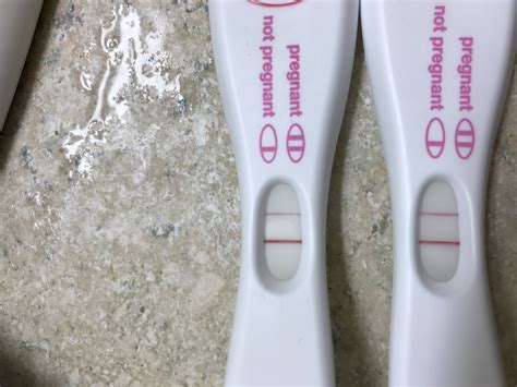 Positive At Home Tests Negative Blood Test Trying To Conceive