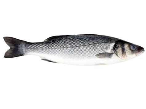 Sea Bass Nutrition Facts Eat This Much
