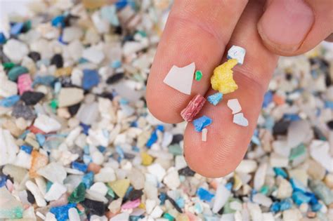 Microplastics—whats The Big Deal Ufifas Extension Lake County