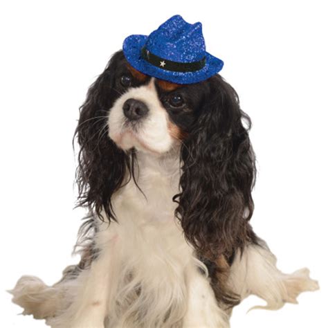 Cowboy Hat Dog Costume Sparkle Blue Baxterboo