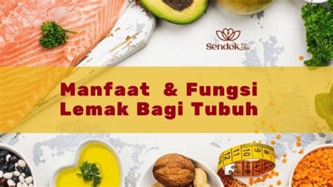 Manfaat Lemak Dan Fungsinya Bagi Tubuh Sendokibu