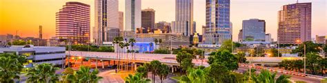 You can feel confident knowing our we provide the consumer with effective pest control products and educate him or her on how to use them safely and properly. Pest Control & Exterminators in Tampa, FL | McCall Service