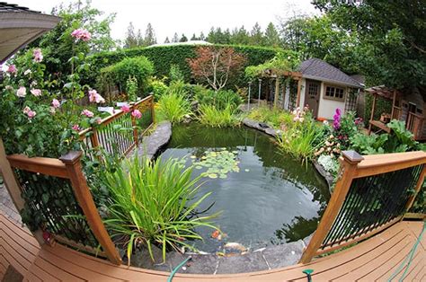 Contemporary Garden Design Wiltshire The Perfect Pond