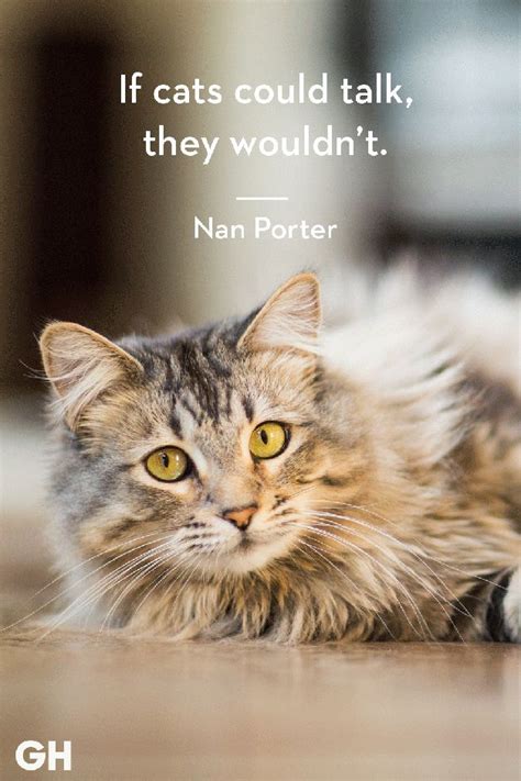 25 Quotes Only Cat Owners Will Understand Cute Cat Quotes Cat Quotes