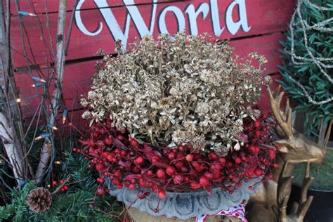 Spray Painted Mums Add Christmas Sparkle To The Porch Magic Brush