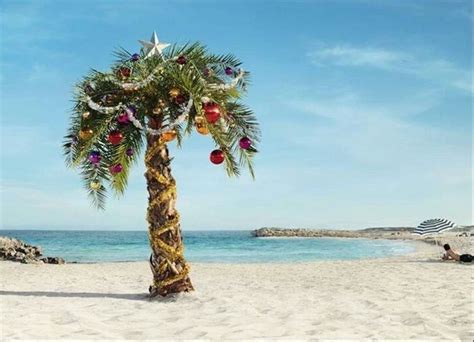 A Very Merry Maldivian Christmas Christmas Palm Tree Florida