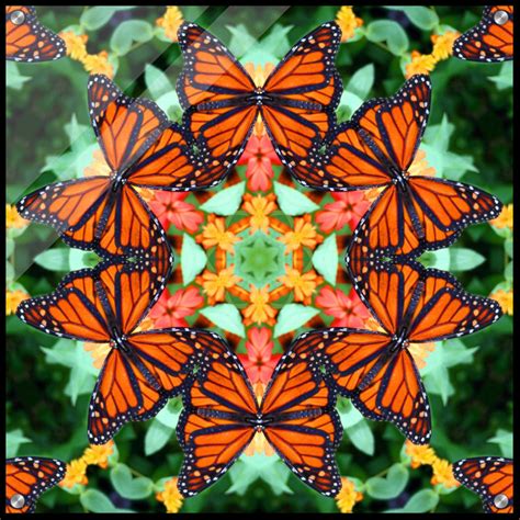 Monarch Butterfly Mandala Unique Wall Psychedelic Art Decor Etsy