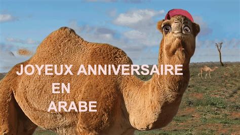 Votre recherche de dictons : Dromadaire Carte Anniversaire Gratuite Avec Prénom / Carte ...