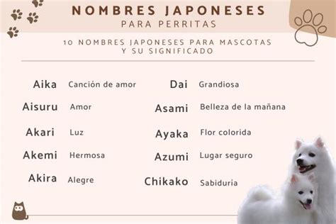 Nombres De Perros Machos Japoneses Y Su Significado Noticias Del Perro