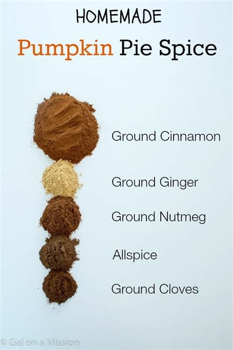 Maybe you would like to learn more about one of these? Pumpkin Pie Spice Mix - Gal on a Mission