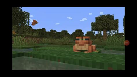 Minecraft Live New Frogs Showcase Youtube
