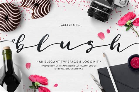 Blush Typeface Logo Kit Ai ~ Illustrations ~ Creative Market