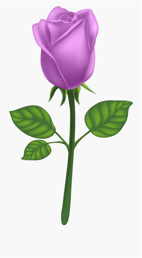 Pink rose on a long stem, isolated on black. long stem roses clipart 10 free Cliparts | Download images ...