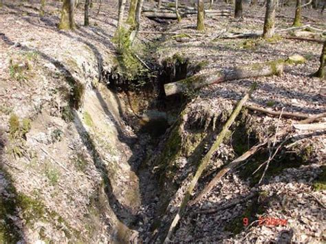 Gully Valley Head In The Morat Catchment Download Scientific Diagram